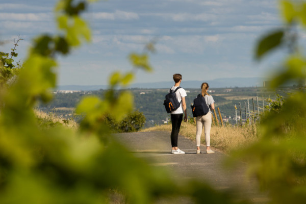 Offene Weinwanderung - So schmeckt die Schlemmerwoche